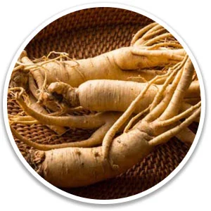 ginseng.webp